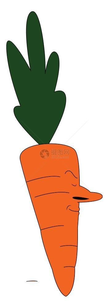 橙色大胡萝卜长脸有大鼻子和绿叶色矢量彩图画或插图片