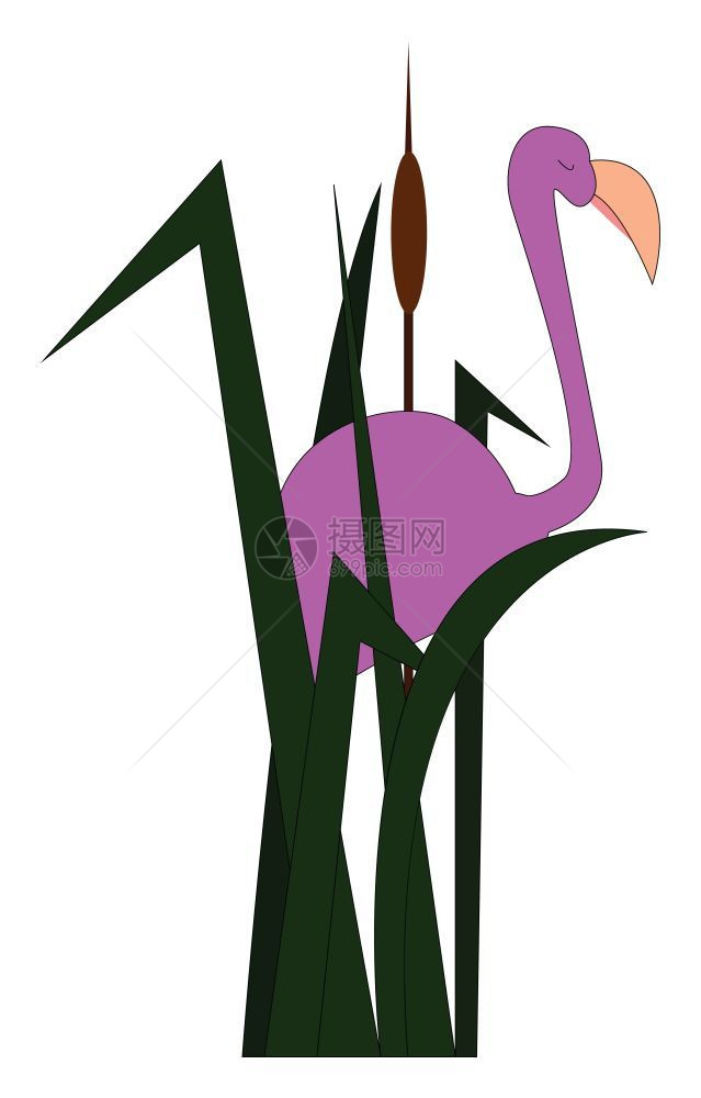 藏在高绿色草地上的紫火烈鸟眼睛闭着矢量彩色绘画或插图图片