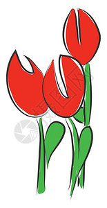 红色花水仙双大眼睛绿色干叶矢量颜图画或插图片
