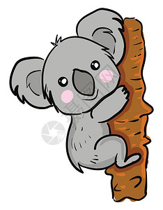一个可爱的小卡通Koala爬上树脸矢量彩色绘画或插图上面带宽阔笑容的背景图片