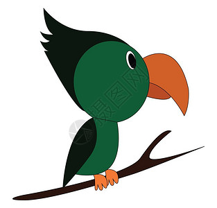树枝上有一只绿色的图坎鸟有一小块躯体和条很长曲线的纸矢量颜色图画或插图片