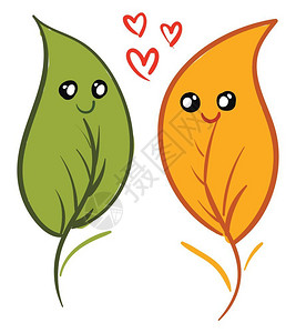 两个绿色和黄的颜叶子互相微笑在爱情矢量彩色画或插图中图片