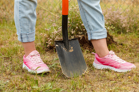 妇女园丁用铁铲在土挖洞房子周围打工在花园挖洞图片