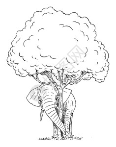 手绘漫画风格树下的大象卡通矢量插图背景图片