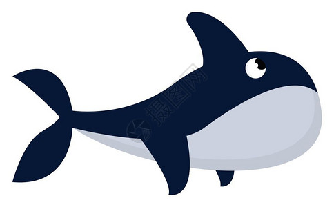 卡通可爱鲨鱼矢量插图图片