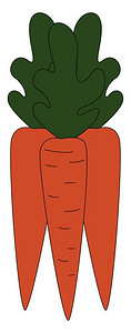 胡萝卜是蔬菜上面有橙色可食用根和绿叶矢量彩色图画或插图片
