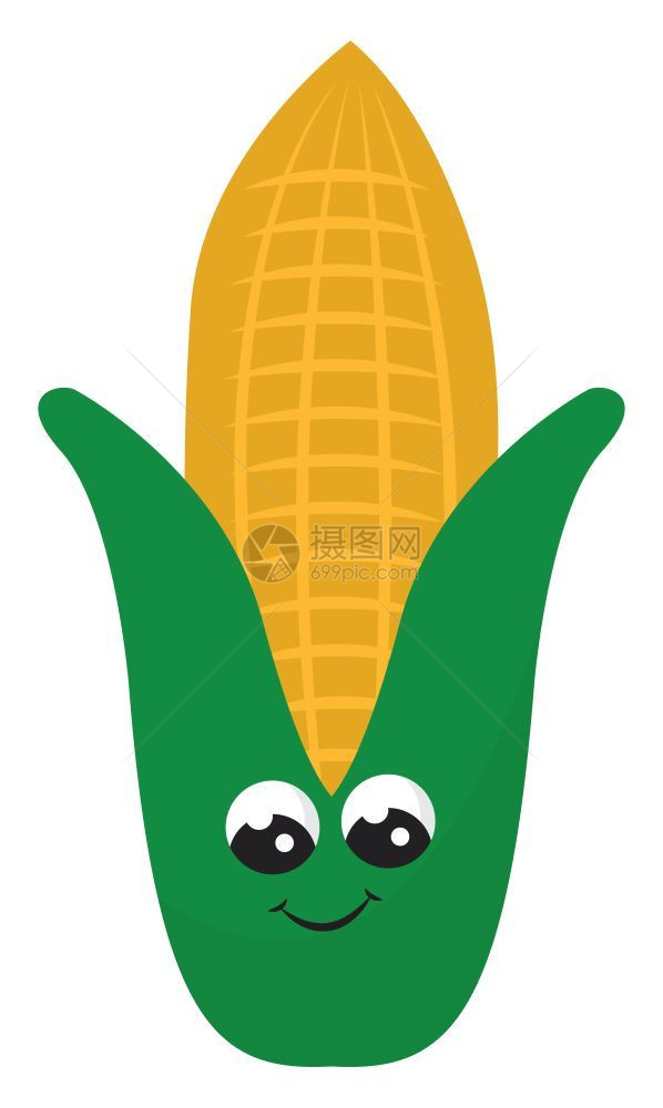玉米用于指小麦玉米燕和大等作物病媒彩色图画或插图片