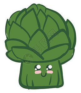 甲状腺是圆的绿色蔬菜被厚尖叶子包着向量颜色图画或插图片