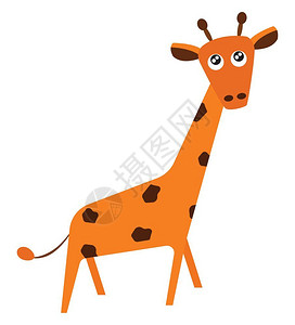 长颈鹿矢量彩色绘画或插图的颜色画图片