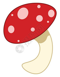 彩色蘑菇图片