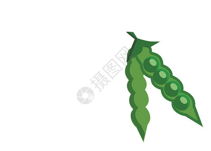新鲜的豌豆粒矢量插图图片