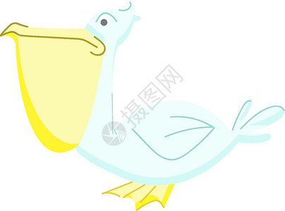鹈鹕科水禽统称卡通可爱的鸟矢量插图插画
