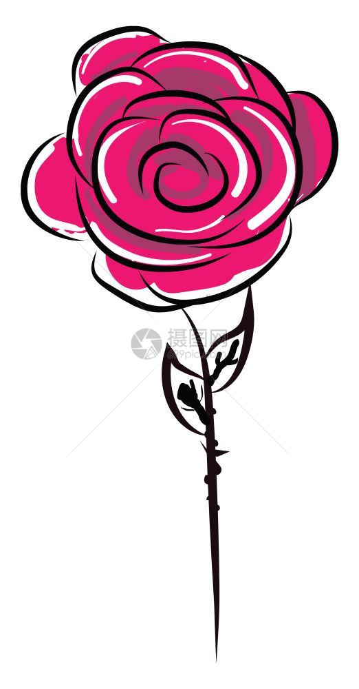 手绘红玫瑰矢量插图图片