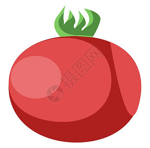 健康新鲜红番茄矢量插图图片