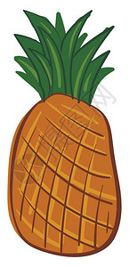 整片橙色菠萝的图画上面矢量颜色图画或插上含绿叶的整片橙色菠萝图片