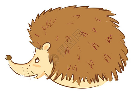 小刺猬一只毛棕色刺绣猪转向右侧的是三只胡须鸟矢量的颜色图或插插画