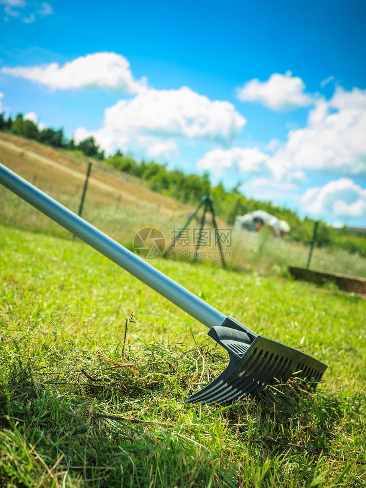 使用rake的拉克树叶照顾花园家庭院子草场的人农业园艺设备概念图片