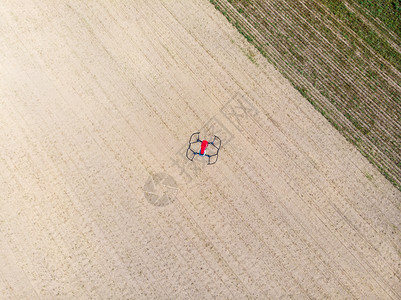 无人机在农作物上空飞行图片