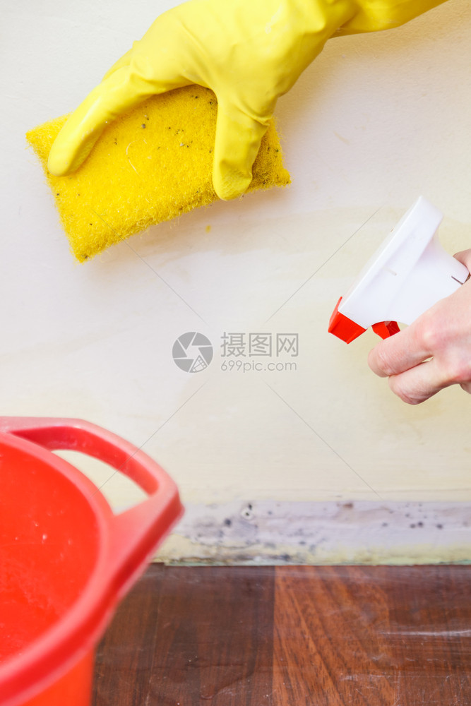 施药者喷墙使用抗芬格尔剂喷墙者用平板霉菌处理真除剂洗涤者图片