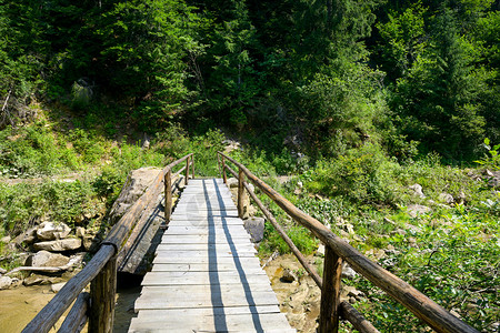 山河上的木林桥图片