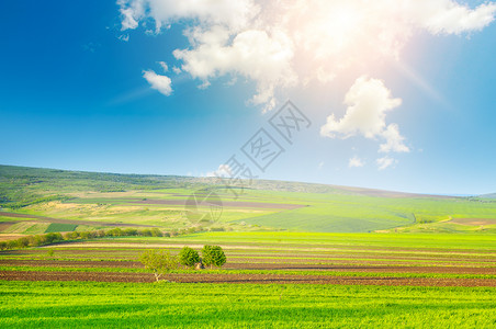 白云中明亮的太阳与蓝天相对农业景观图片