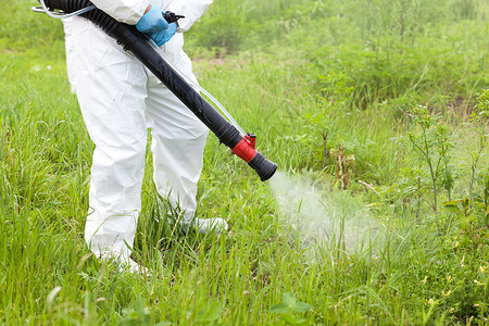 男子身穿防护服在杂草上喷洒除剂高清图片