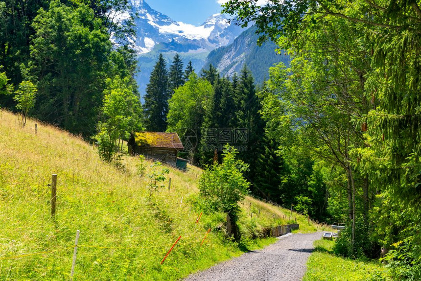 瑞士伯尔尼奥兰州温根山村图片