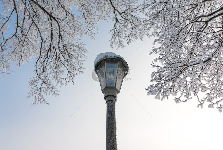 1月的雪和霜覆盖了树木奥地利冬季图片