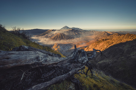 活跃火山在日出时的Bromo山一个活跃的火山是东爪哇最受访旅游景点之一印度尼西亚自然景观背背景