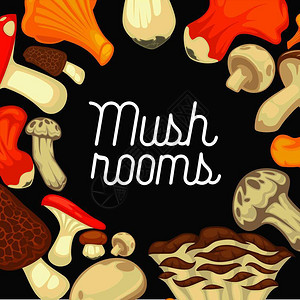 温室可食用蘑菇海报背景图片