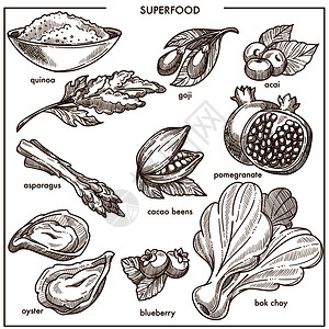 巴西螺母手绘精美食品蔬菜插画
