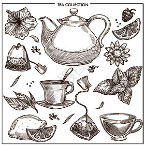 热茶壶和黑杯或绿柠檬薄荷或芳香药草和耳灰茶袋香和菊或果汁茶杯壶和袋或草药调味品插画