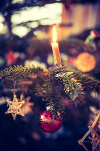 蜡烛在装饰圣诞树的枝上图片