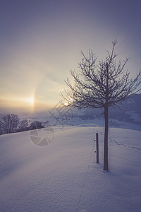 清晨冬季风景日出和光环现象高清图片