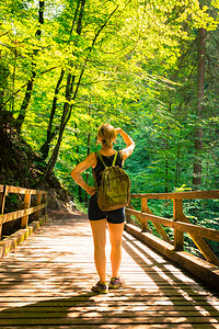 年轻的背包女孩住在木桥上林中享受风景图片