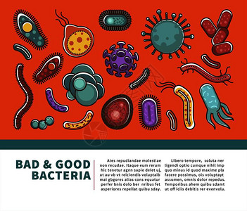 病媒生物用于医疗保健信息或细菌科学的和细菌信息海报或细菌感染预防的病媒公寓设计生物研究医学或保健和细菌科学病媒信息海报设计插画