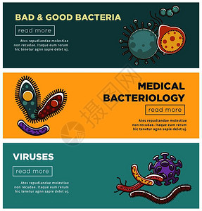 坏菌和好细有害和医学细菌信息宣传海报模板背景图片