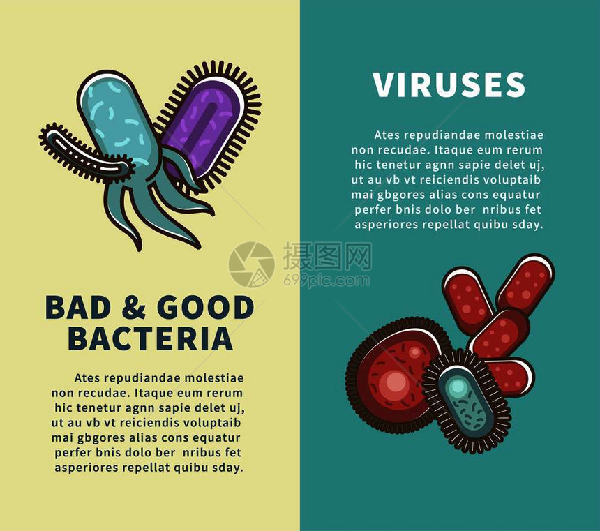 造成疾病并保护身体免受其伤害的微生物带有样本文的孤立卡通平板矢量插图图片