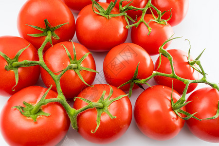 红番茄分枝白离的番茄图片