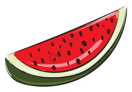 绿皮香瓜一片西瓜有绿皮和红果黑种子矢量彩色绘画或插图插画