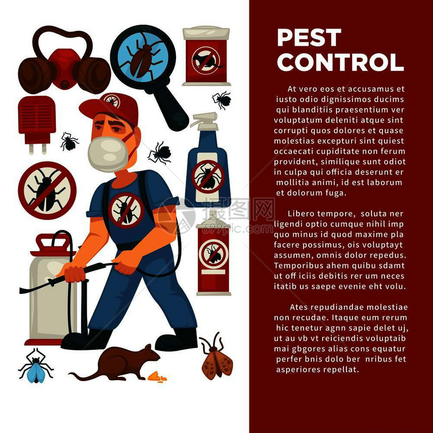 灭虫或害防治服务以及卫生的家用消毒病媒平板设计海报对老鼠蟑螂和mite昆虫喷洒消毒液体或气的消毒者或虫害防治服务以及卫生的家用消图片