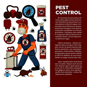 灭虫或害防治服务以及卫生的家用消毒病媒平板设计海报对老鼠蟑螂和mite昆虫喷洒消毒液体或气的消毒者或虫害防治服务以及卫生的家用消插画