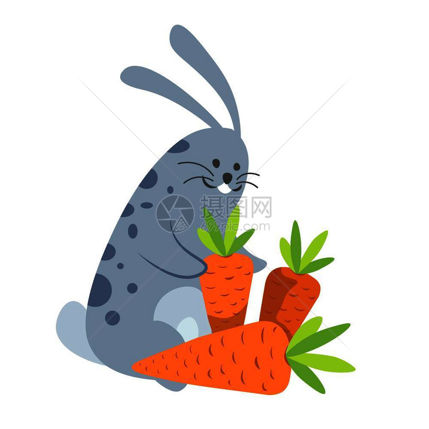 兔子笑着高兴与胡萝卜病媒在一起兔子吃和营养长耳朵和牙毛动物蔬菜和树叶顶部在冬季储存产品兔子笑着高兴与胡萝卜病媒在一起图片