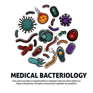 细菌和微生物海报图片