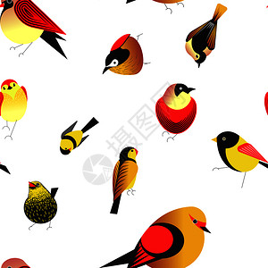鸟类动物图片