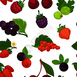草莓蔓越莓有机产品水果矢量元素插画