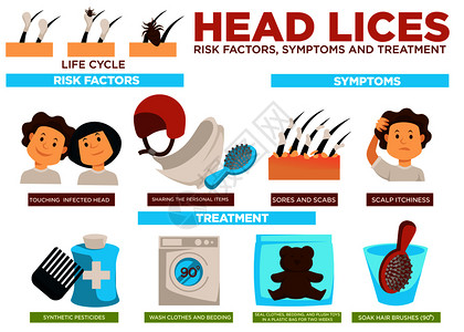 接触受感染者分享个人物品伤痛和疤痕以及头皮外合成杀虫剂和洗衣服头虱风险因素症状和治疗海报插画