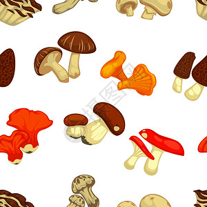 红菇茑卡通蘑菇矢量元素背景插画