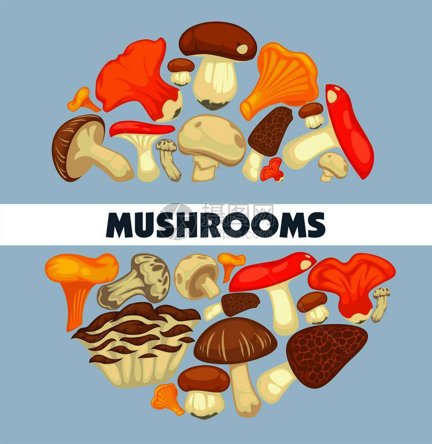 温室可食用蘑菇海报图片