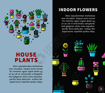卡通矢量插图和样本文室内植物和花朵宣传纵向海报图片